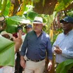 Ministerio de Agricultura inicia protocolo para la reapertura de PRODEVAJ